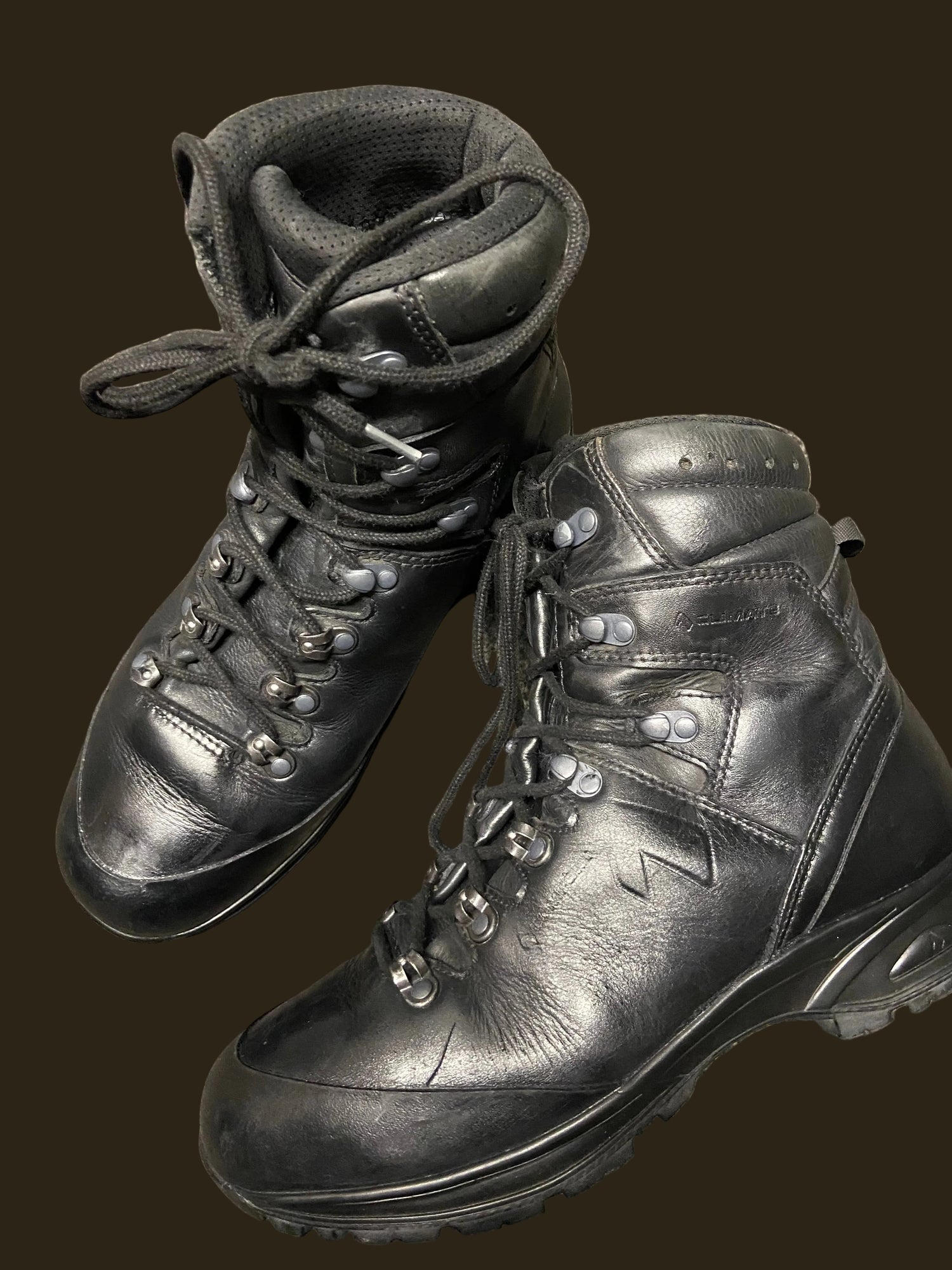 Haix Cold weather Commander Mountain Boots Grade 1