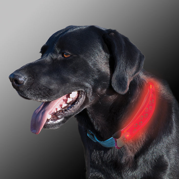 Nite Ize Nite Dawg® LED Collar Cover