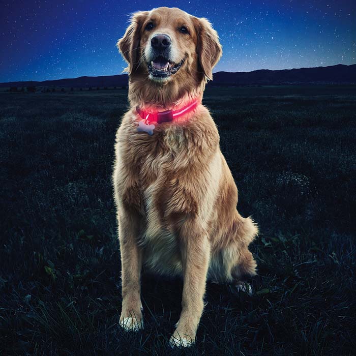 Nite Ize Nite Dawg® LED Dog Collar