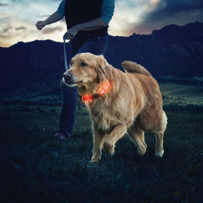 Nite Ize Nite Dawg® LED Dog Collar