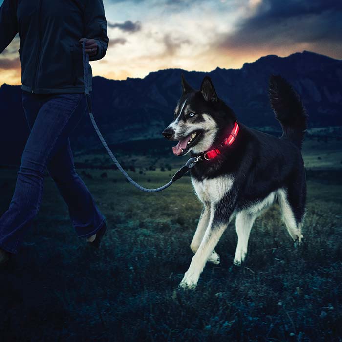 Nite Ize Nite Dawg® LED Dog Collar