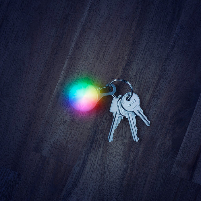 Nite Ize SpotLit™ LED Carabiner Light - Disc-O Select™