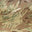 Multicam