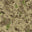 Mediterranean Camo