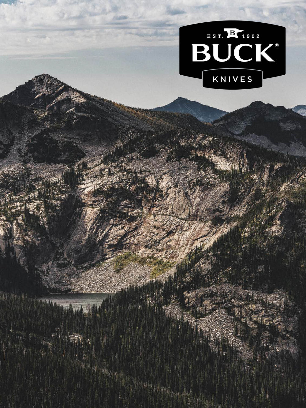 Buck - EdgeTek Bench Stone - Medium