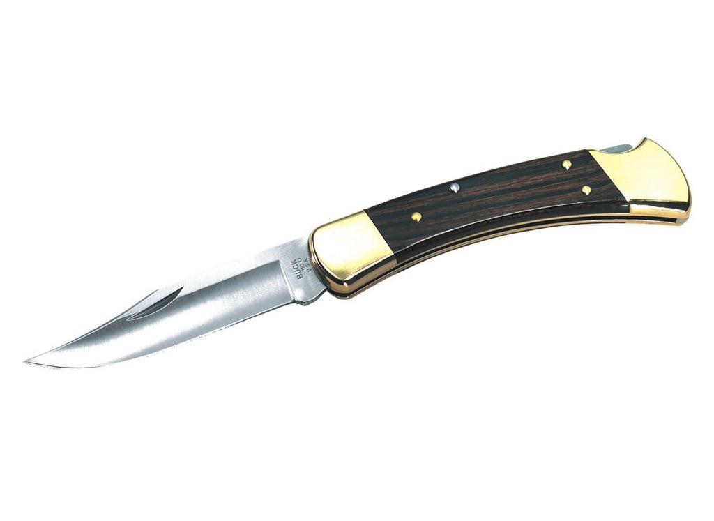 Buck - Hunter Folding Knife