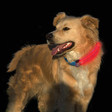 Nite Ize Nite Dawg® LED Collar Cover