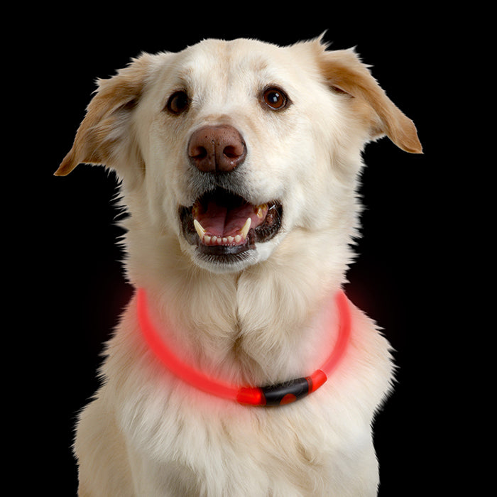 Nite Ize NiteHowl® LED Safety Necklace