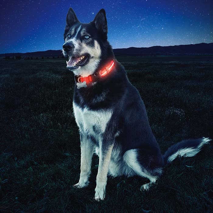 Nite Ize Nite Dawg® LED Dog Collar