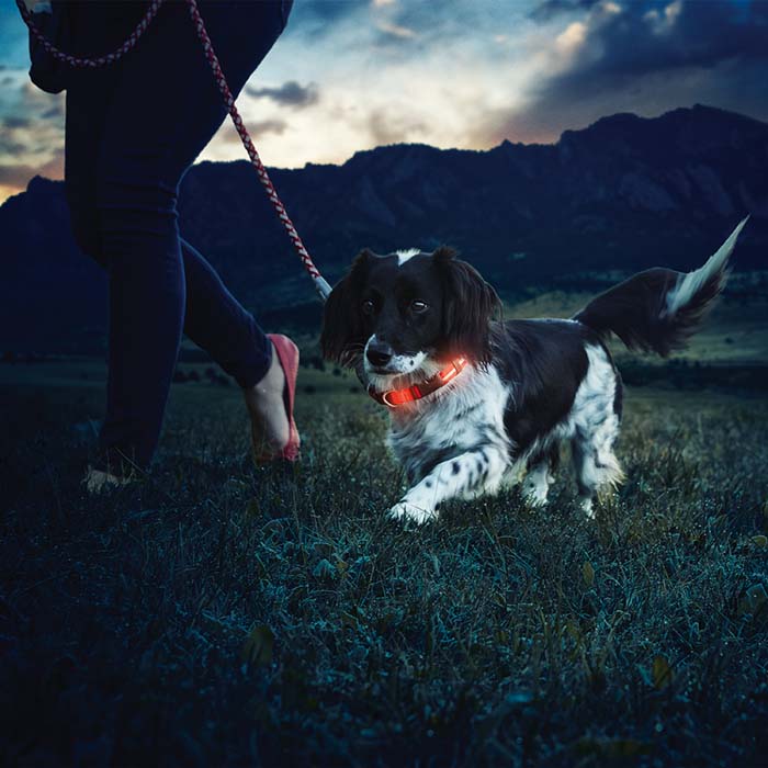 Nite Ize Nite Dawg® LED Dog Collar