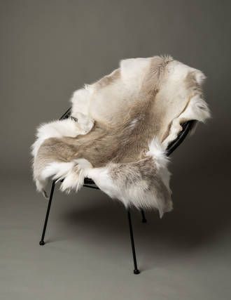 Reindeer Tanned  Hide