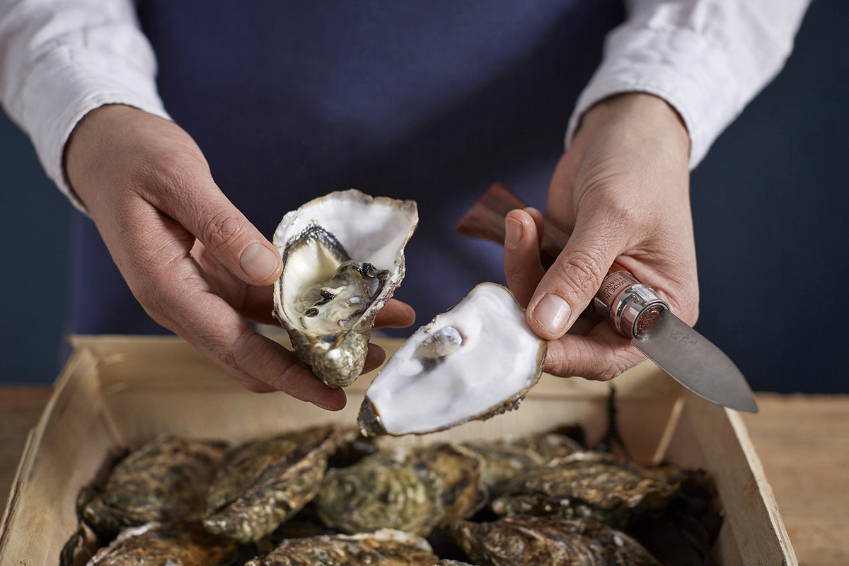 Opinel - Oyster And Shellfish Knife