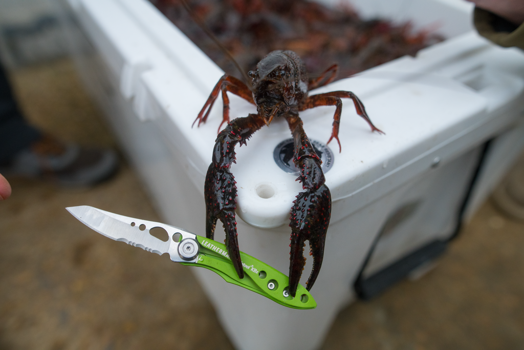 Leatherman Skeletool KBx Knife