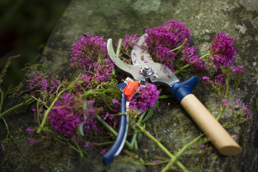 Opinel - Le Secatur Hand Pruner - Slate