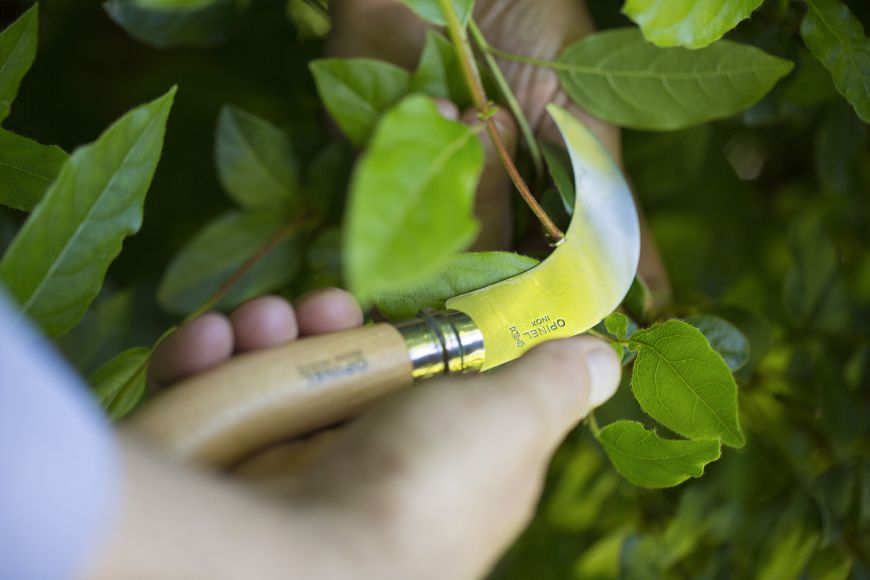 Opinel - No.10 Pruning Knife